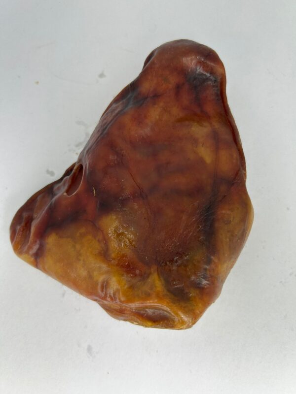 Oreja de cerdo ibérico - Imagen 2