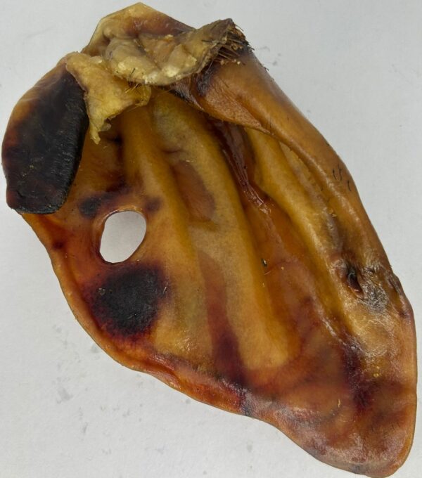 Oreja de cerdo ibérico