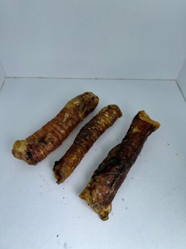 Tráquea de cerdo pequeña - Imagen 2