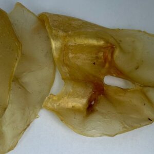 Orejas de ternera pequeñas ricas en glucosamina